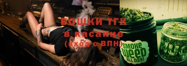 ПСИЛОЦИБИНОВЫЕ ГРИБЫ Вязники