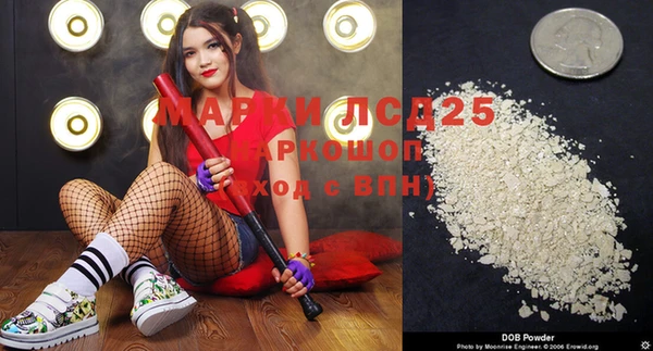 ПСИЛОЦИБИНОВЫЕ ГРИБЫ Вязники
