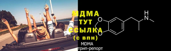 мдпв Вяземский