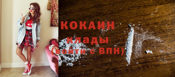 мдпв Вяземский