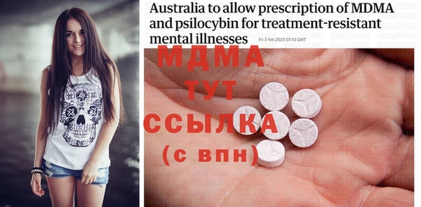 ПСИЛОЦИБИНОВЫЕ ГРИБЫ Вязники
